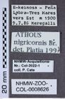 Etiketten zu Athous nigricornis (NHMW-ZOO-COL-0008626)